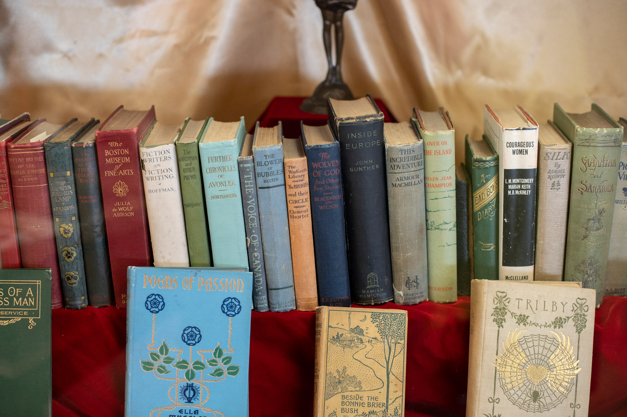 DSC_6322web row of colorful book spines