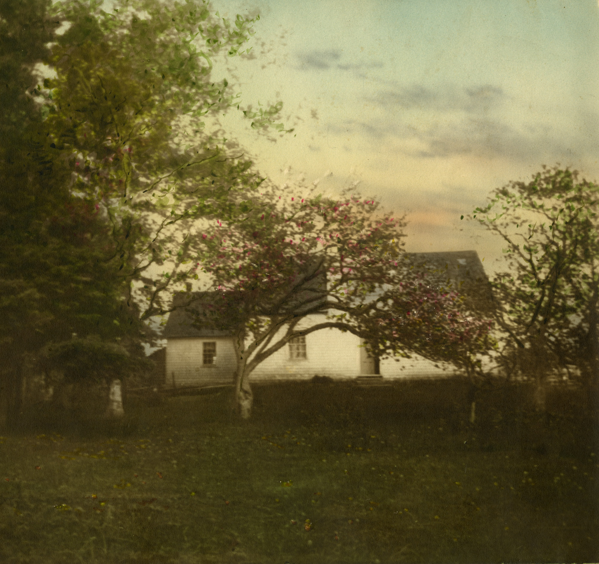 XZ1MSA097069_1189-LMM-MacNeill-Homestead Archival & Special Collections, University of Guelph, L.M. Montgomery Collection