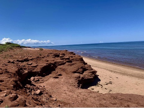 red cliffs near a blue ocial